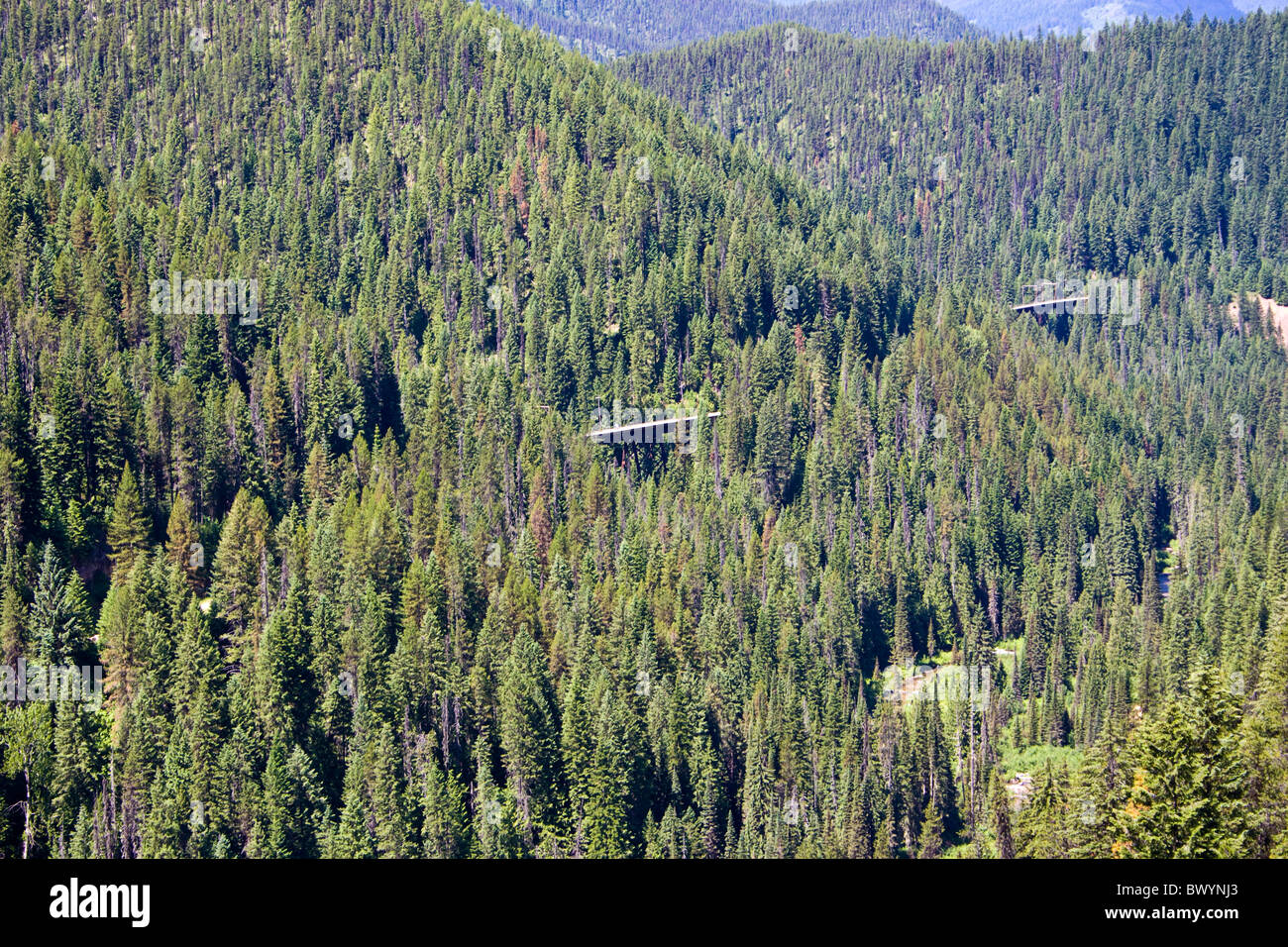 Radfahrer fahren Sie eines der vielen Böcke (Zug Brücken) entlang der Hiawatha Trail, Idaho, USA Stockfoto