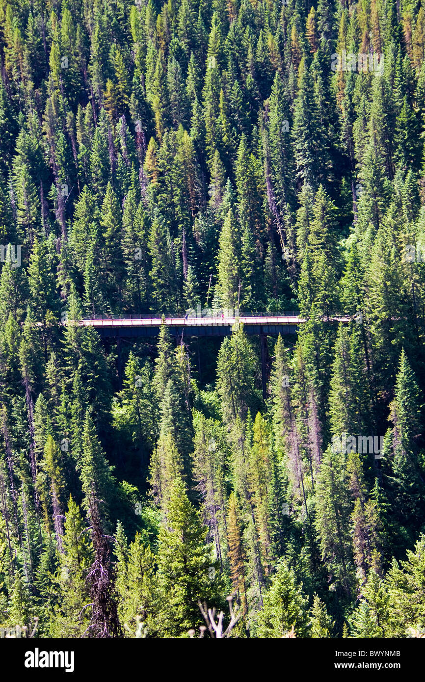 Radfahrer fahren Sie eines der vielen Böcke (Zug Brücken) entlang der Hiawatha Trail, Idaho, USA Stockfoto