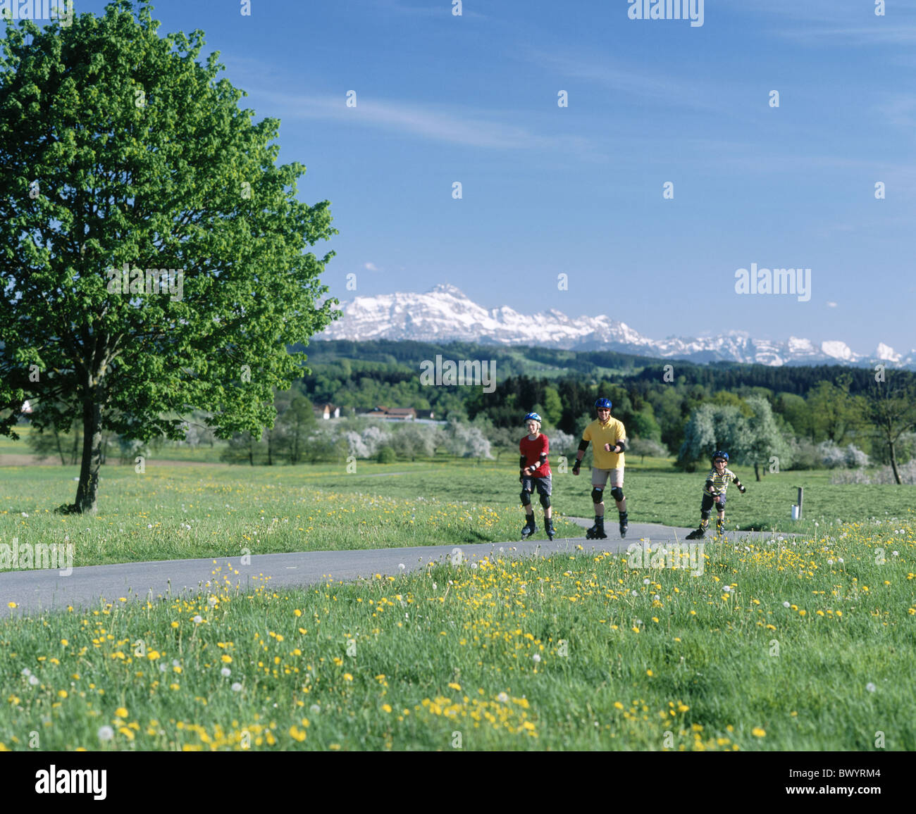 Familie Freizeit Frühling Inline Skating Kanton Thurgau Landschaft Land Straße Rollerblades Rollerbladi Stockfoto