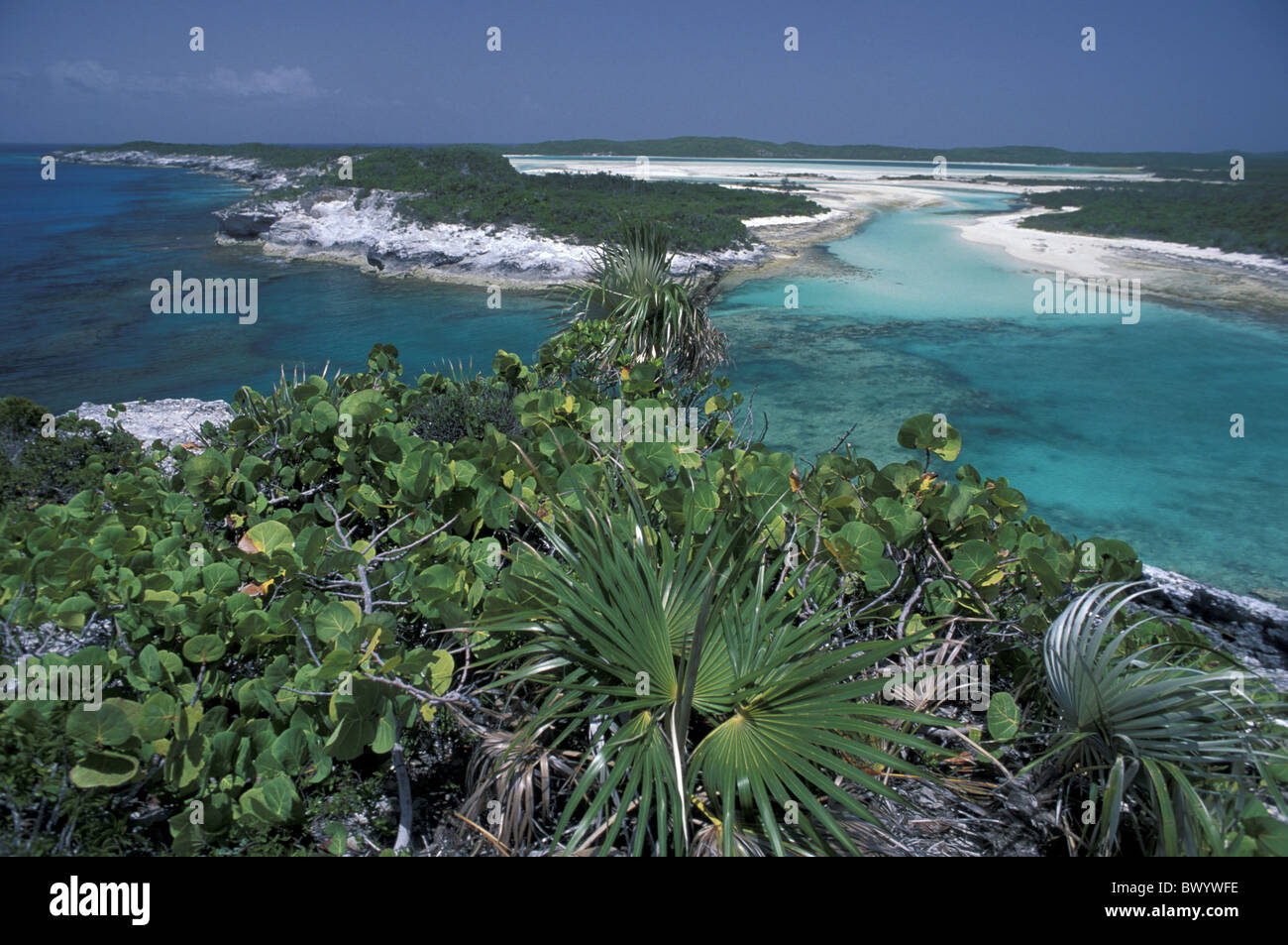 Strandküste Long Island Natur am Columbus-Denkmal-Übersicht Pflanzen Landschaft Landschaft Meeresküste Bahama Stockfoto