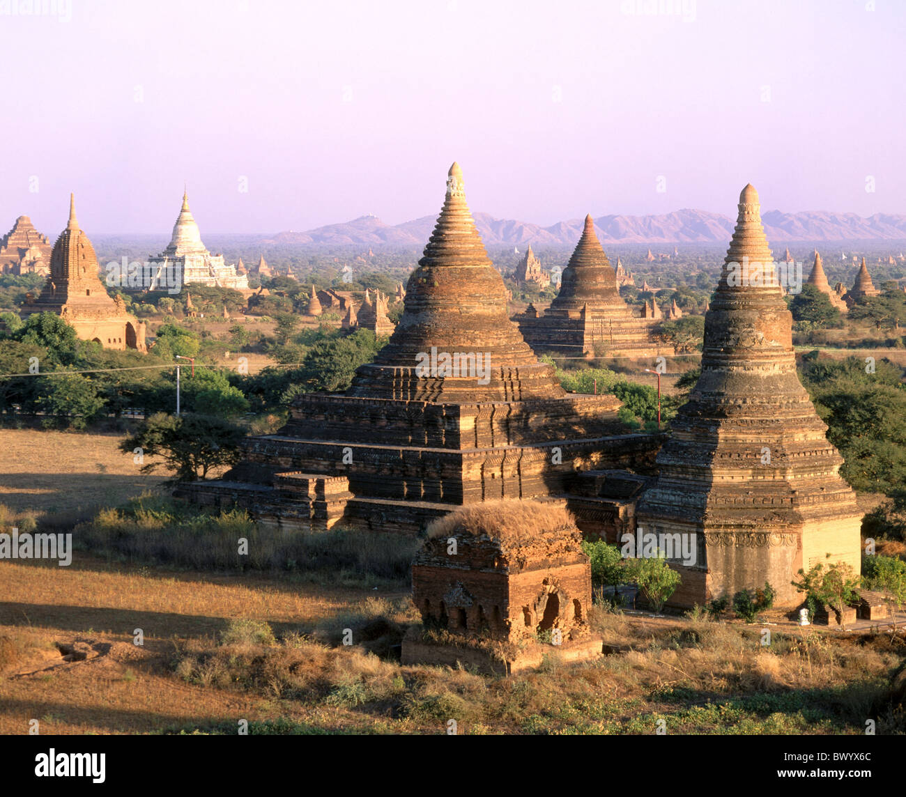 Anordnung Gehäuse Kultur Bagan Burma Asien Buddhismus Burma Myanmar Religion Shwezigon Paya pag Stockfoto