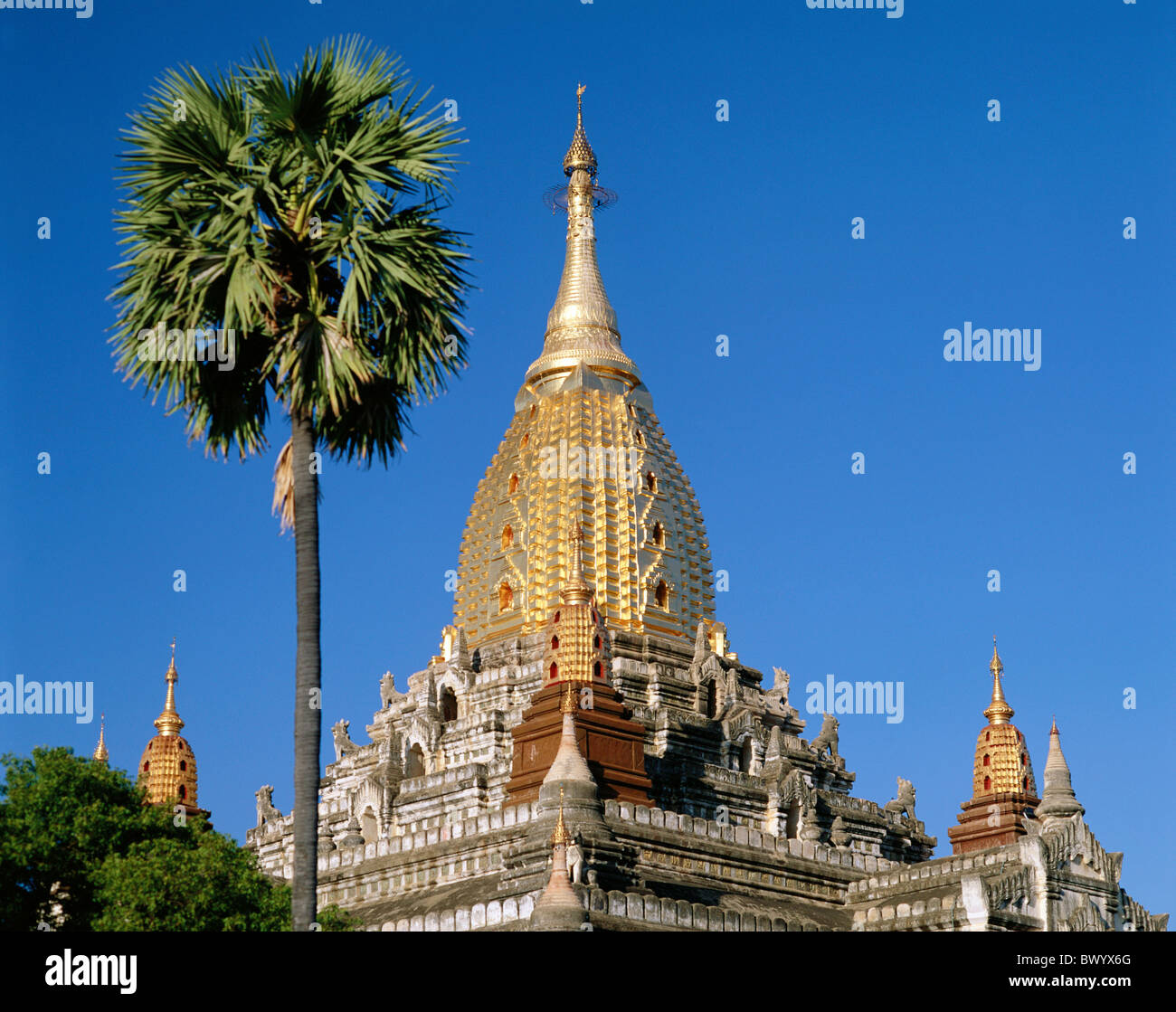 Ananda Pagoda goldene Kultur in Bagan Burma Asien Buddhismus Burma Myanmar palm Religion Tempel Stockfoto