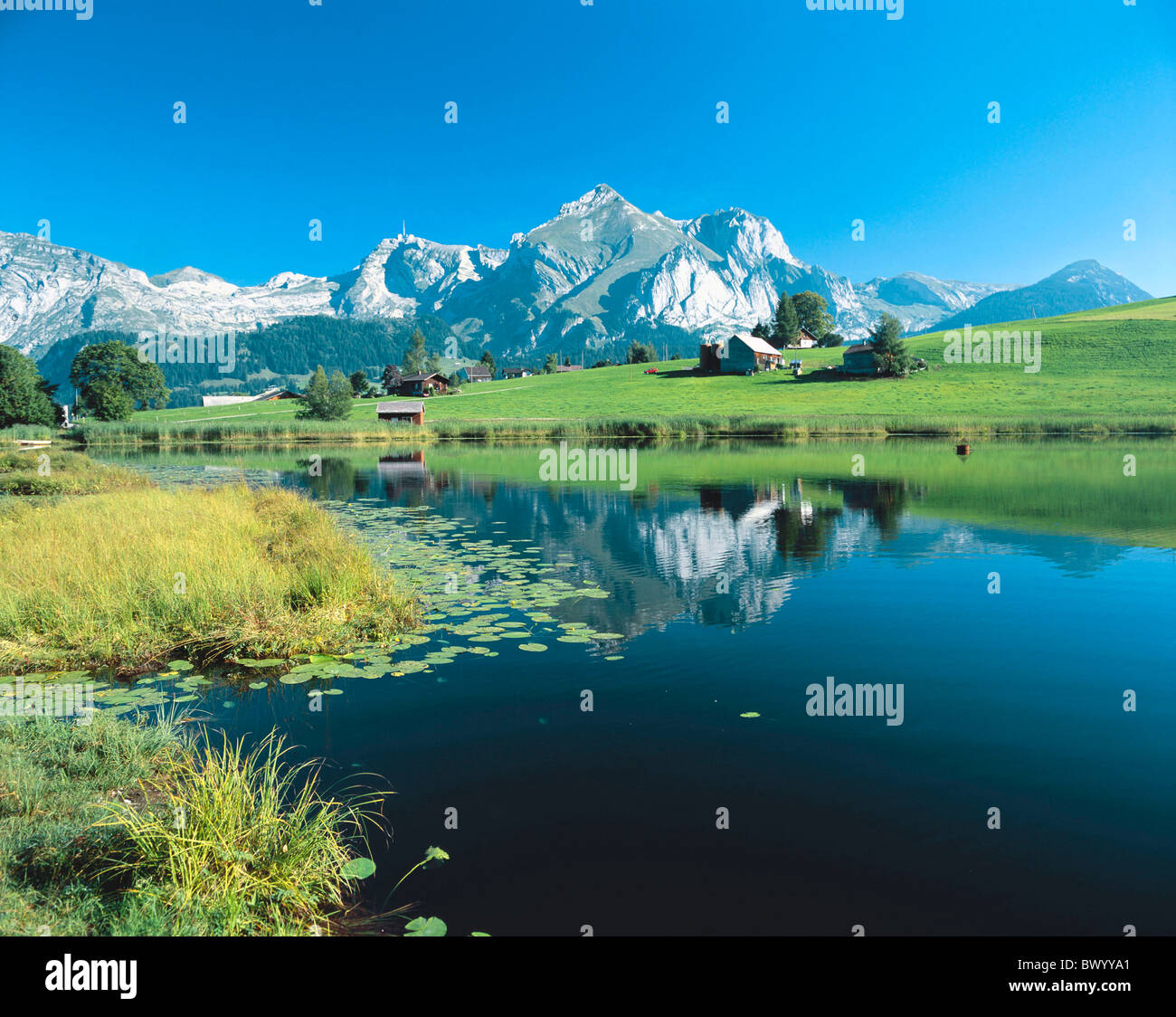 Alpstein in der Nähe von Wildhaus Berge Kanton St. Gallen Landschaft Santis Schweiz Europa Schwendi Schwendisee Stockfoto