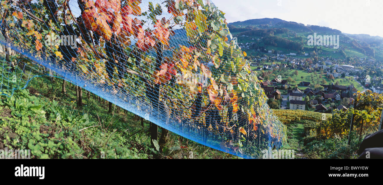 Dorf im Herbst Hügel Kanton St. Gallen Landschaft Landwirtschaft net Panorama Panorama schießt Schweiz Europa Stockfoto