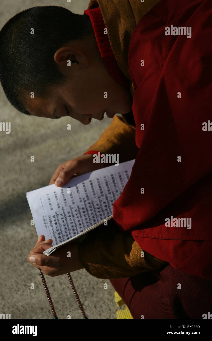 Chinesischen Mönch lesen eine Schrift Buch, Badachu Park, Peking, China Stockfoto