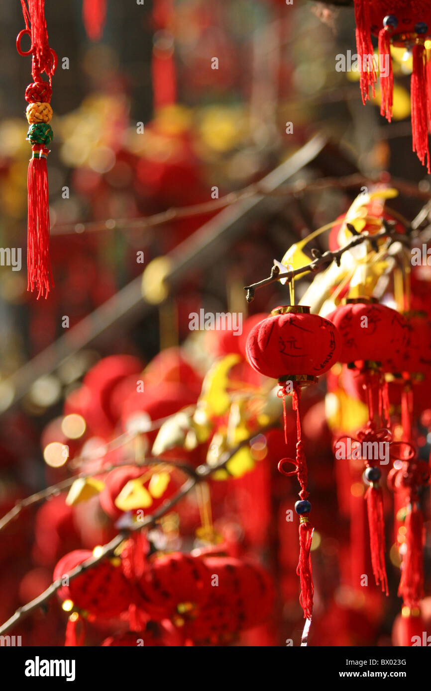 Rote Laternen hängen der Gebetsbaum, Palast von Avalokitesvara, Tempel der großen Barmherzigkeit, Badachu Park, Peking, China Stockfoto