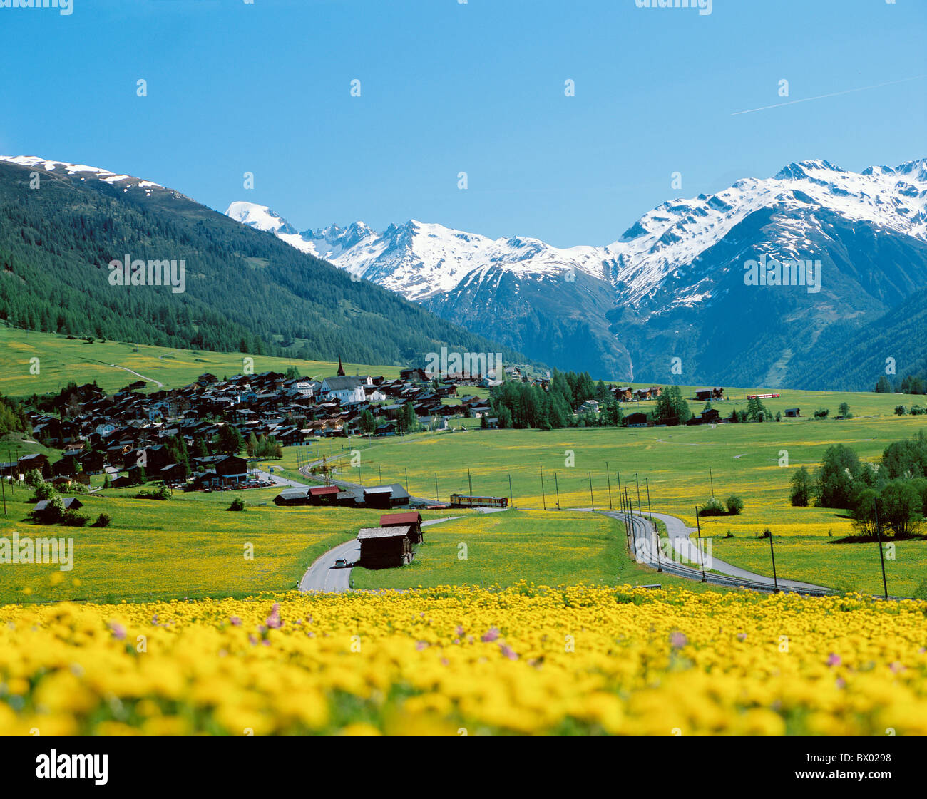 Alpen Alpen Blumen Wiese Dorf Goms Kanton Wallis Landschaft Münster  Oberwallis Schweiz Eur Stockfotografie - Alamy