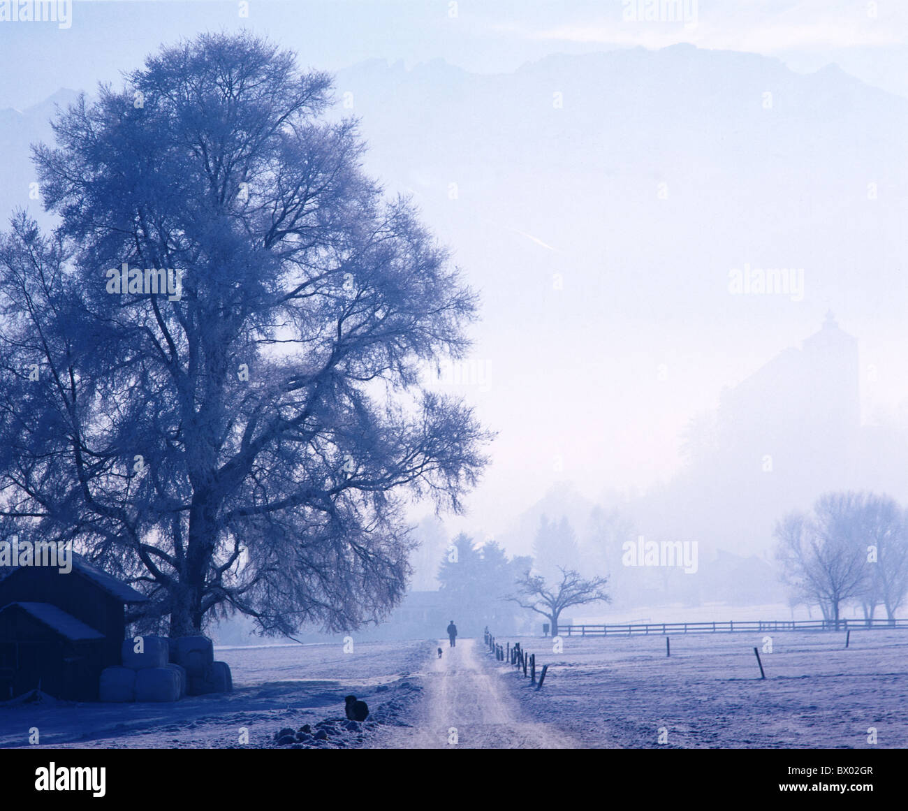 Landschaft zu Fuß Weg Baum Land Lane Hund Nebel Burg Kinderwagen Kanton St. Gallen Schweiz Europa Stimmung wir Stockfoto