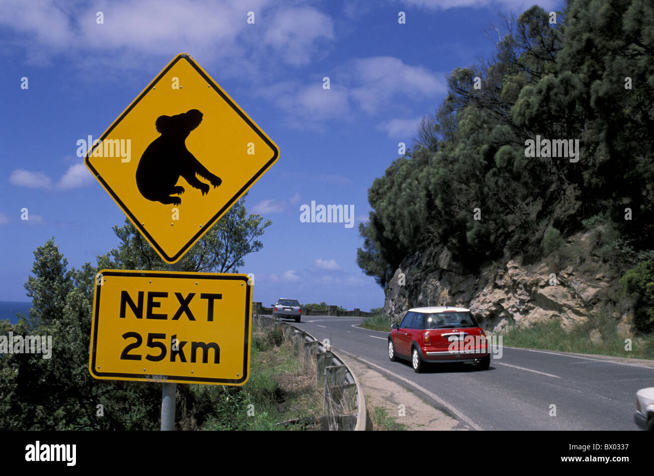 Montieren Sie Australien Great Ocean Road Koala montieren Defiance Lookout Victoria Straße Zeichen Warnung Achtung Autos Stockfoto