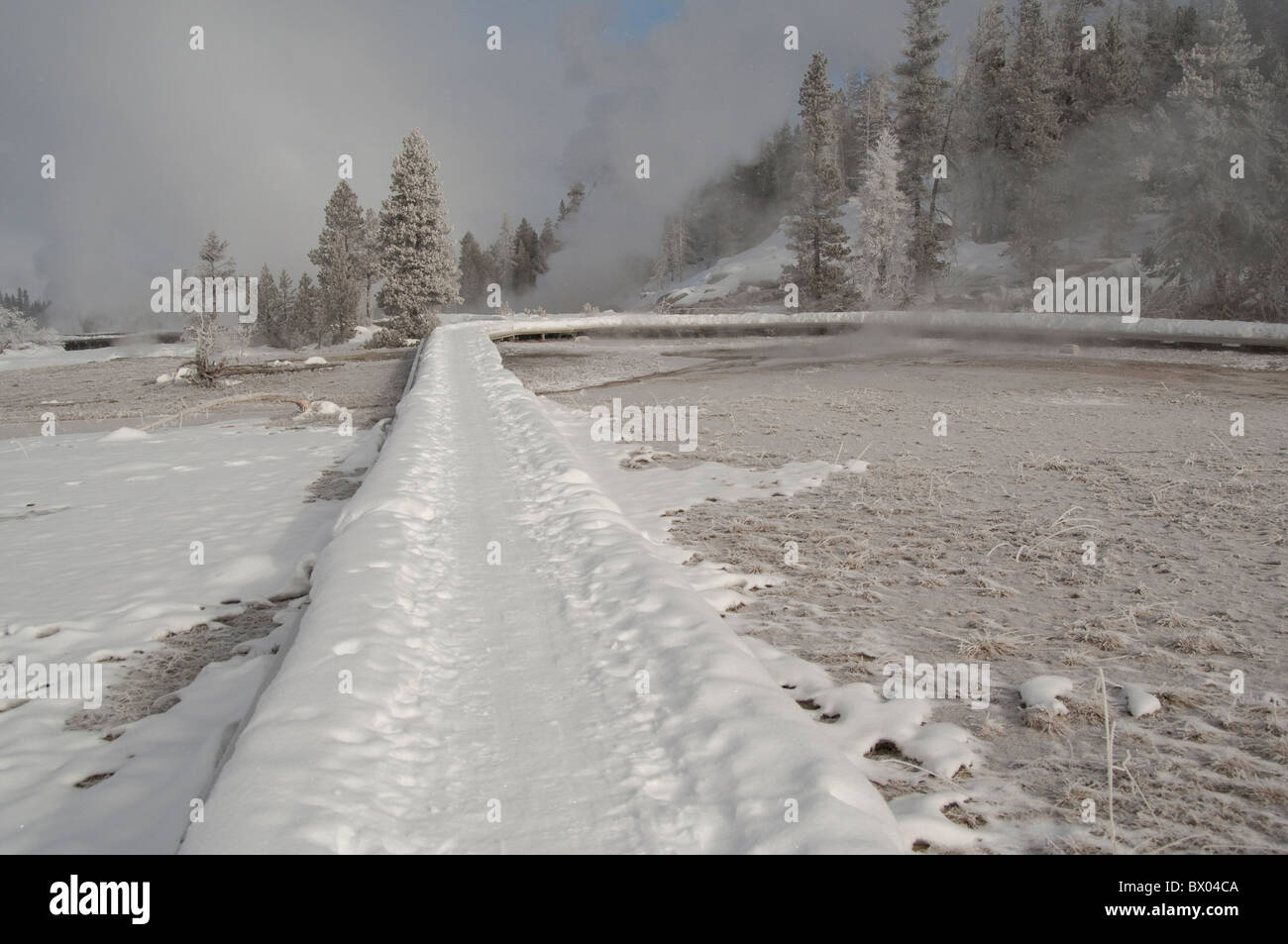 USA, Wyoming. Yellowstone-Nationalpark, Upper Geyser Basin. Old Faithful Trail im Winter. Stockfoto
