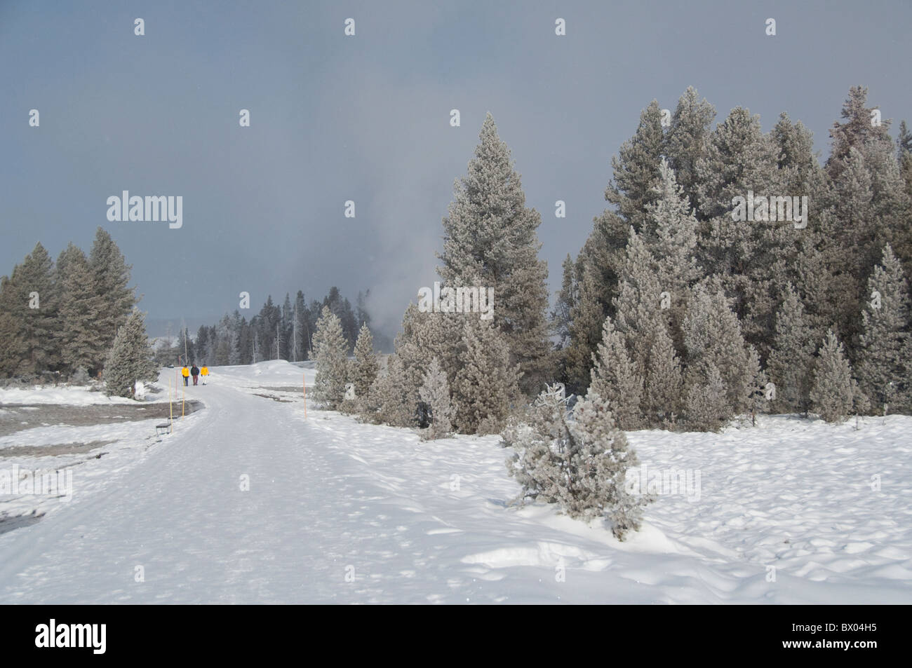 USA, Wyoming. Yellowstone-Nationalpark, Touristen auf den Old Faithful Geysir Loop Trail im Winter. Model-Release. Stockfoto