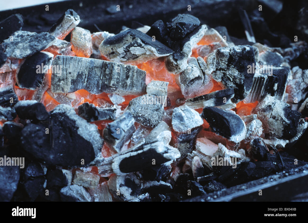 Feuer Glühen Grill Kohle Teig Weißglut Braten heiß Stockfoto