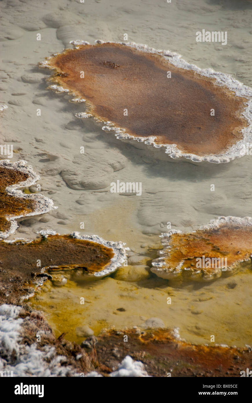 USA, Wyoming. Yellowstone-Nationalpark. Farbtopf Springbrunnen. Geothermische Funktionen mat wärmeliebende Bakterien. Stockfoto