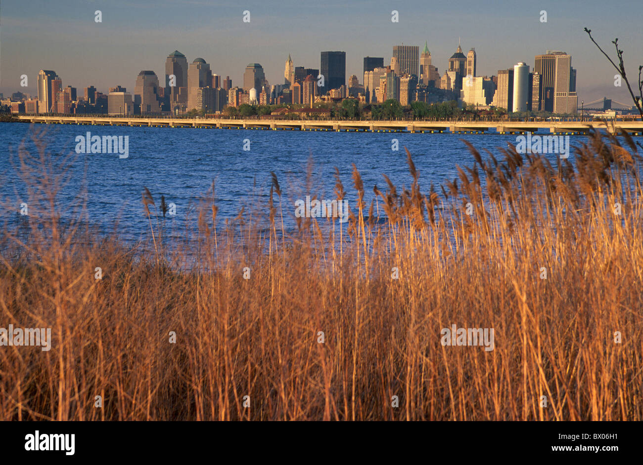 Lower Manhattan New Jersey New York Stadt Reed Ufer Skyline USA Amerika Vereinigte Staaten Ansicht Wasser Stockfoto