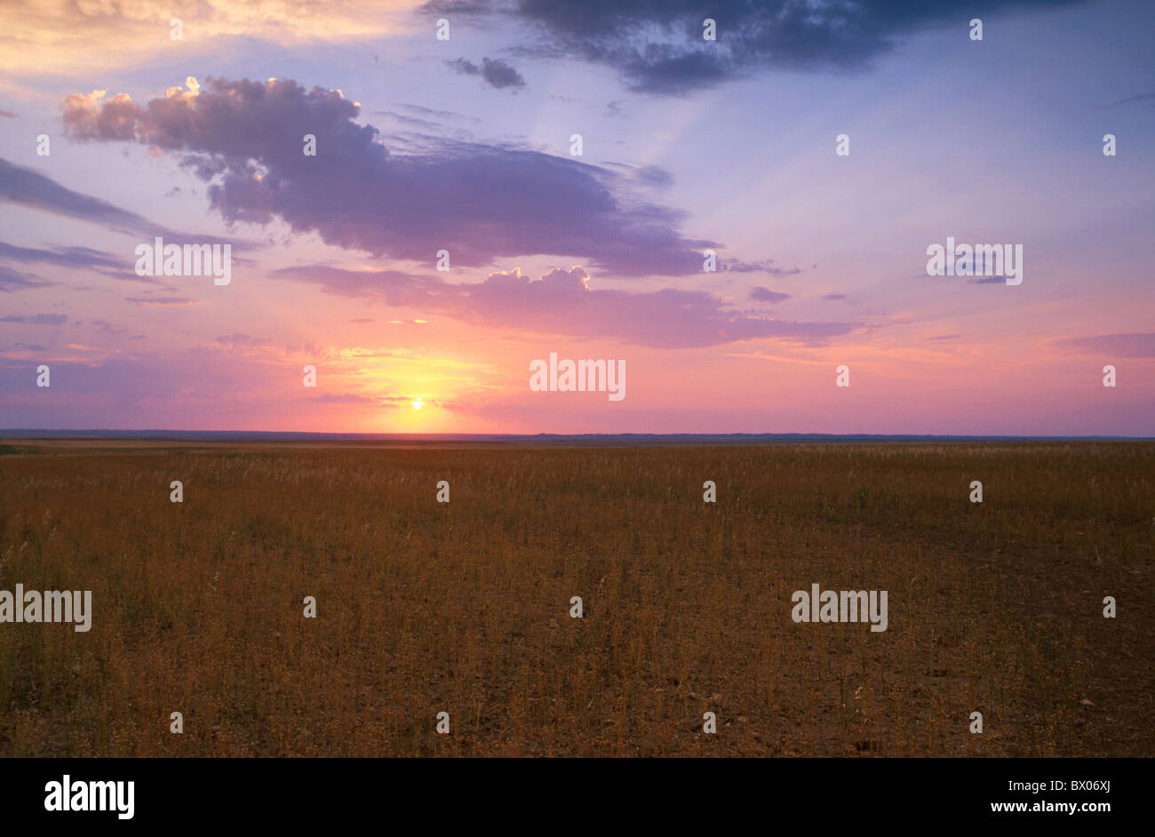 Amerika Kanada Einsamkeit Prärie Saskatchewan karge Landschaft Landschaft Himmel Sonnenuntergang in der Nähe von Va Stockfoto
