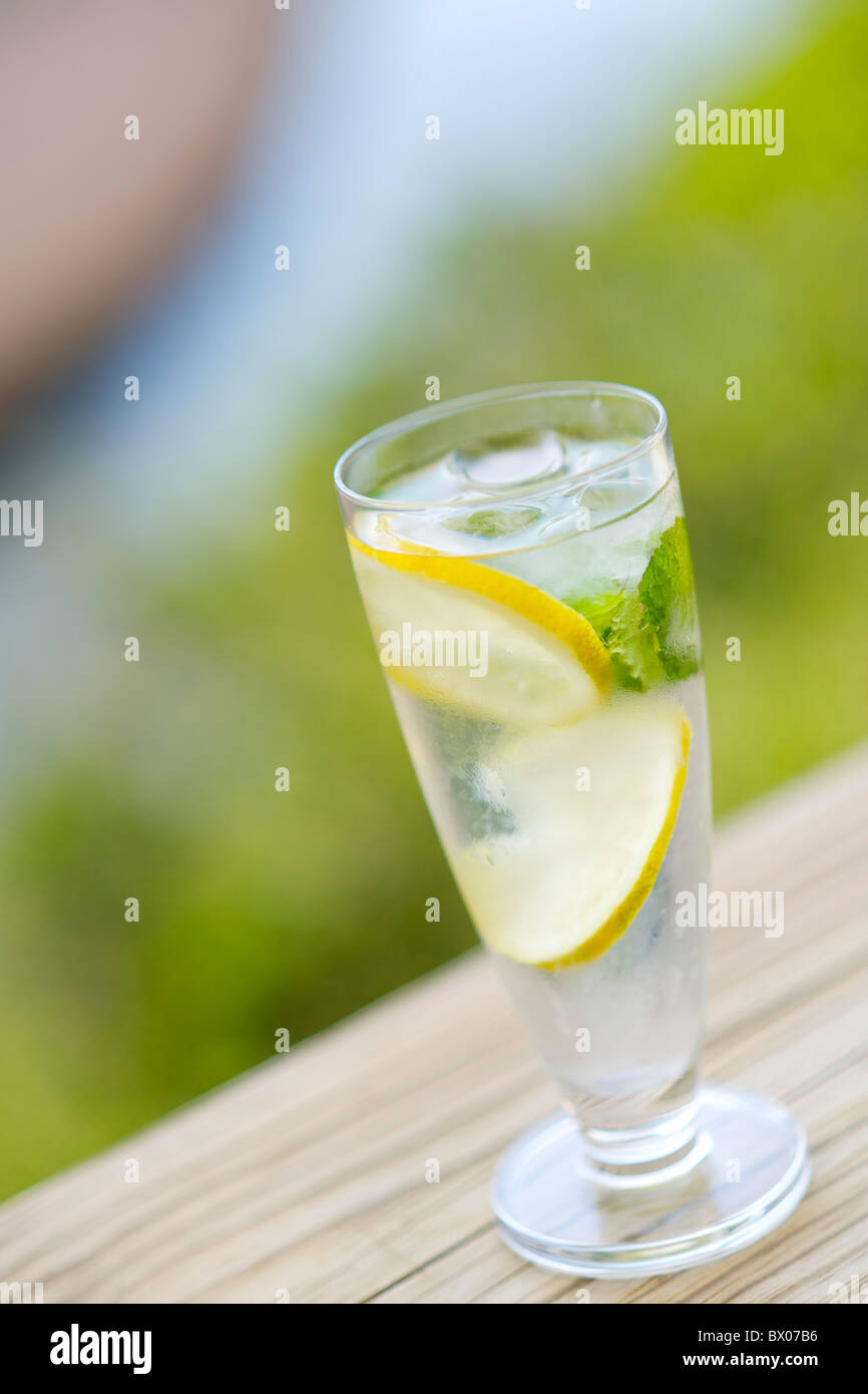 Glas Wasser mit Zitronenscheiben wie Emily Moon Lodge in Plettenberg Bay serviert. Stockfoto