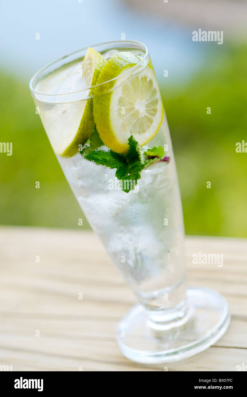 Glas Wasser mit Zitronenscheiben wie Emily Moon Lodge in Plettenberg Bay serviert. Stockfoto