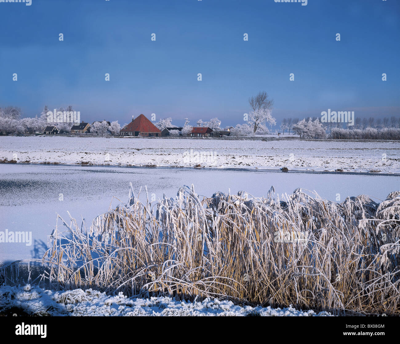 Körper des Wassers Häuser Immobilien Holland Kanal Kanal Landschaft Natur Niederlande Raureif Reed Schnee settleme Stockfoto