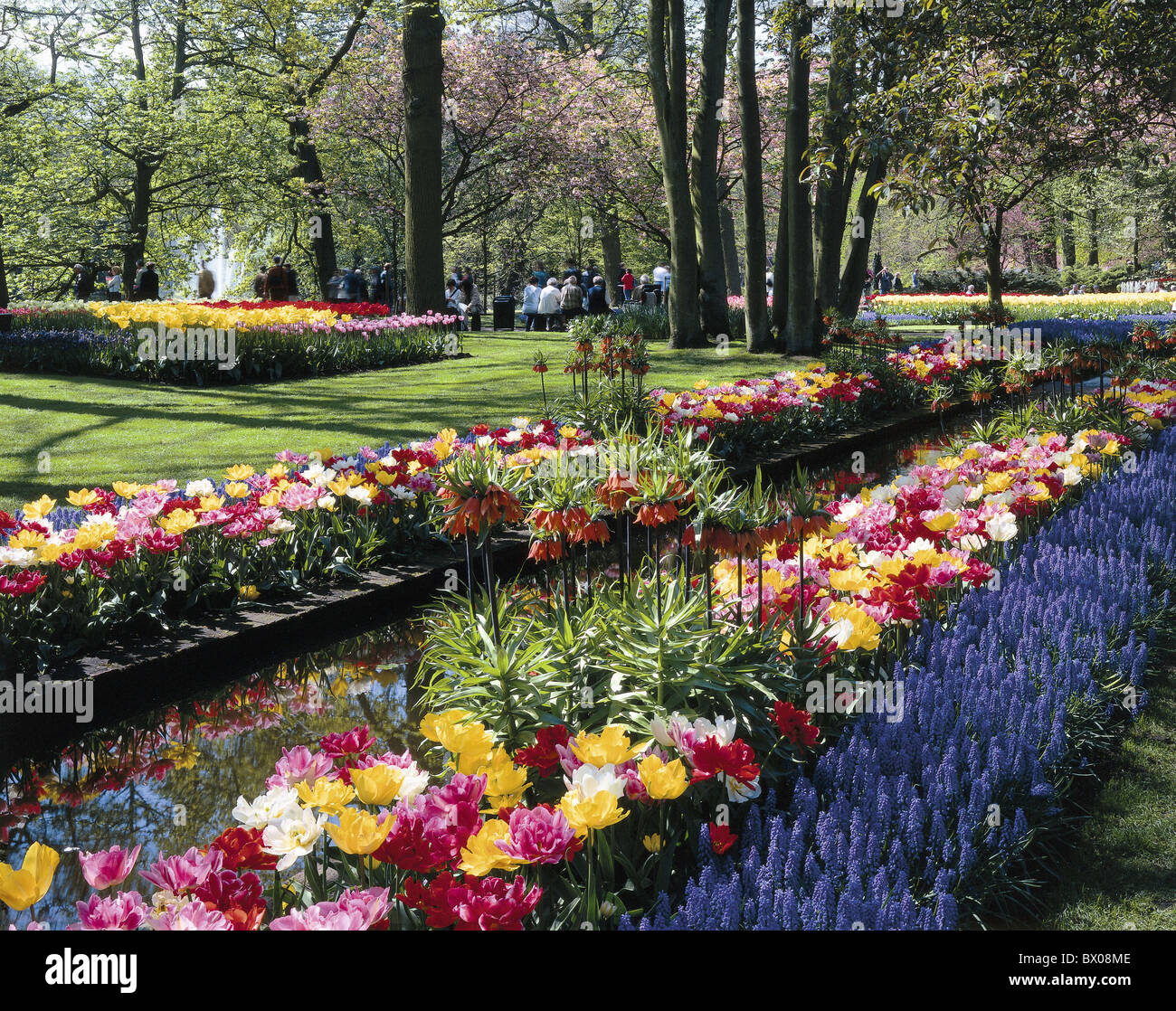 Besucher Blumen Keukenhof Frühling Garten Holland Lisse Menschen Natur Park  Pflanzen Stadt Stadt der Niederlande Stockfotografie - Alamy