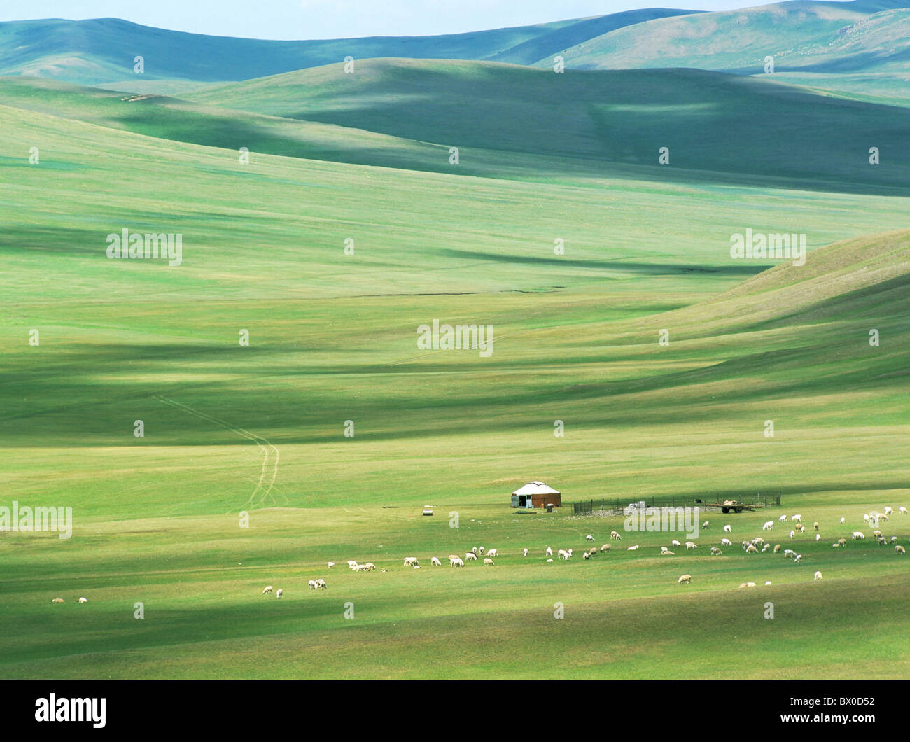 Evenkischen Menschen Sommer Weide, alte Barag Banner Hulunbuir, autonomen Region Innere Mongolei, China Stockfoto