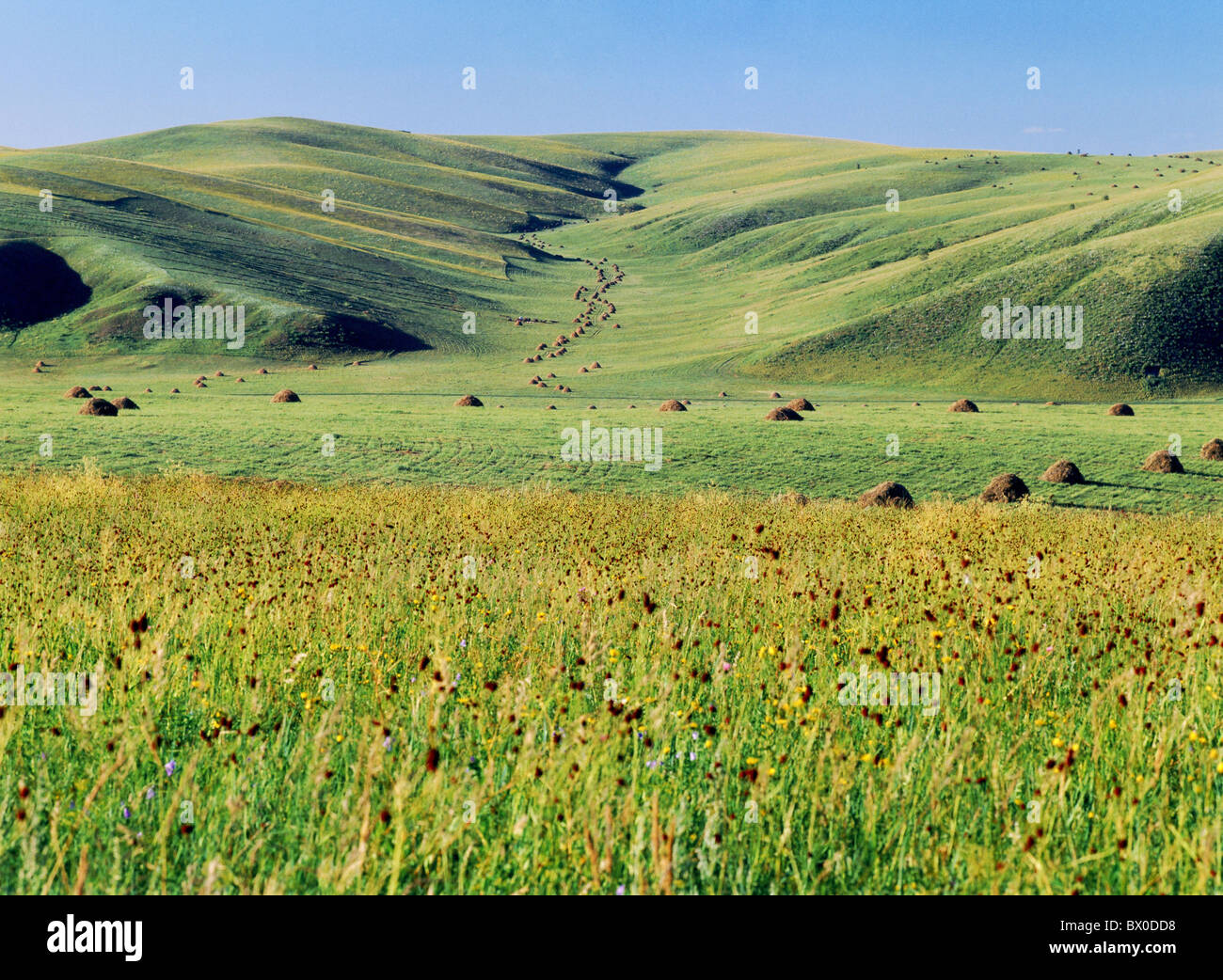 Dramatische Landschaft, Hulun Buir Grünland, Manzhouli, Hulunbuir, autonomen Region Innere Mongolei, China Stockfoto