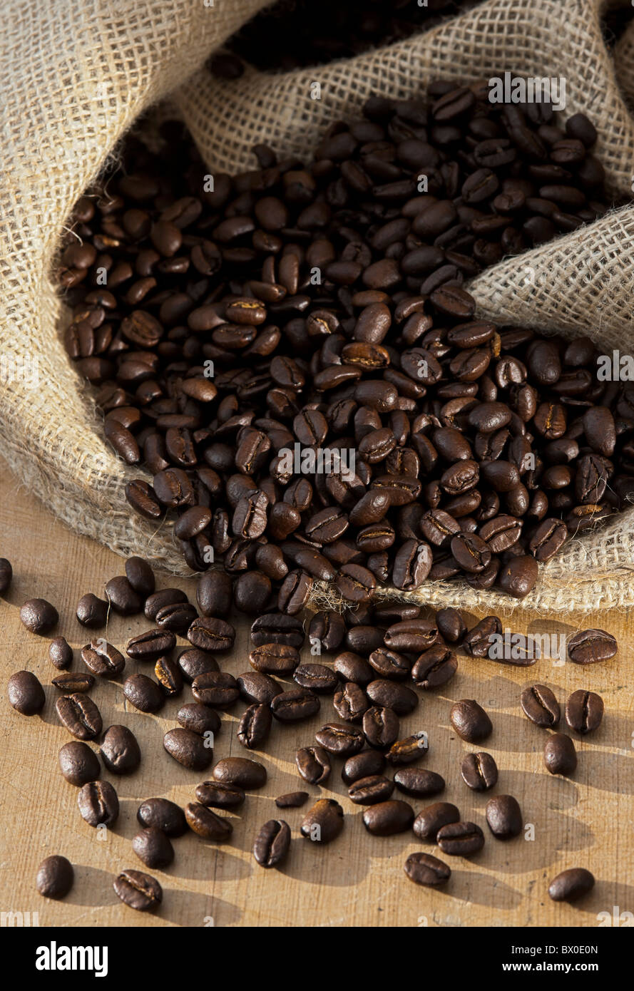 Mittel-Braten Kaffeebohnen Stockfoto