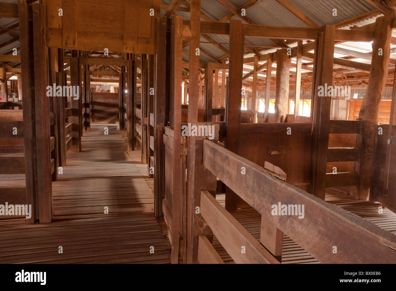 Kinchega Scheren Shed, Kinchega Nationalpark Stockfoto