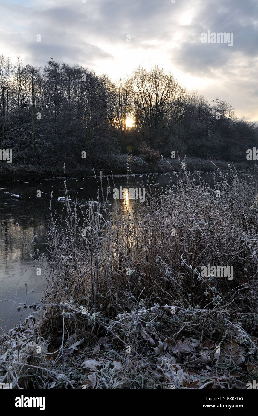 Frost Winter gefrorene Wasserpark Stockfoto