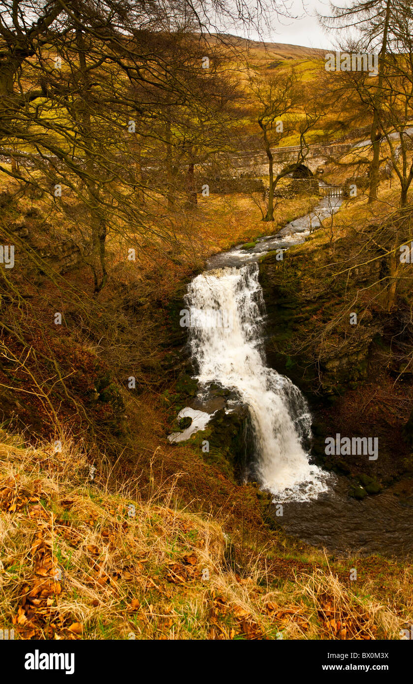 Scaleber Kraft oder Wasserfall in der Nähe von Settle in den Yorkshire Dales Stockfoto