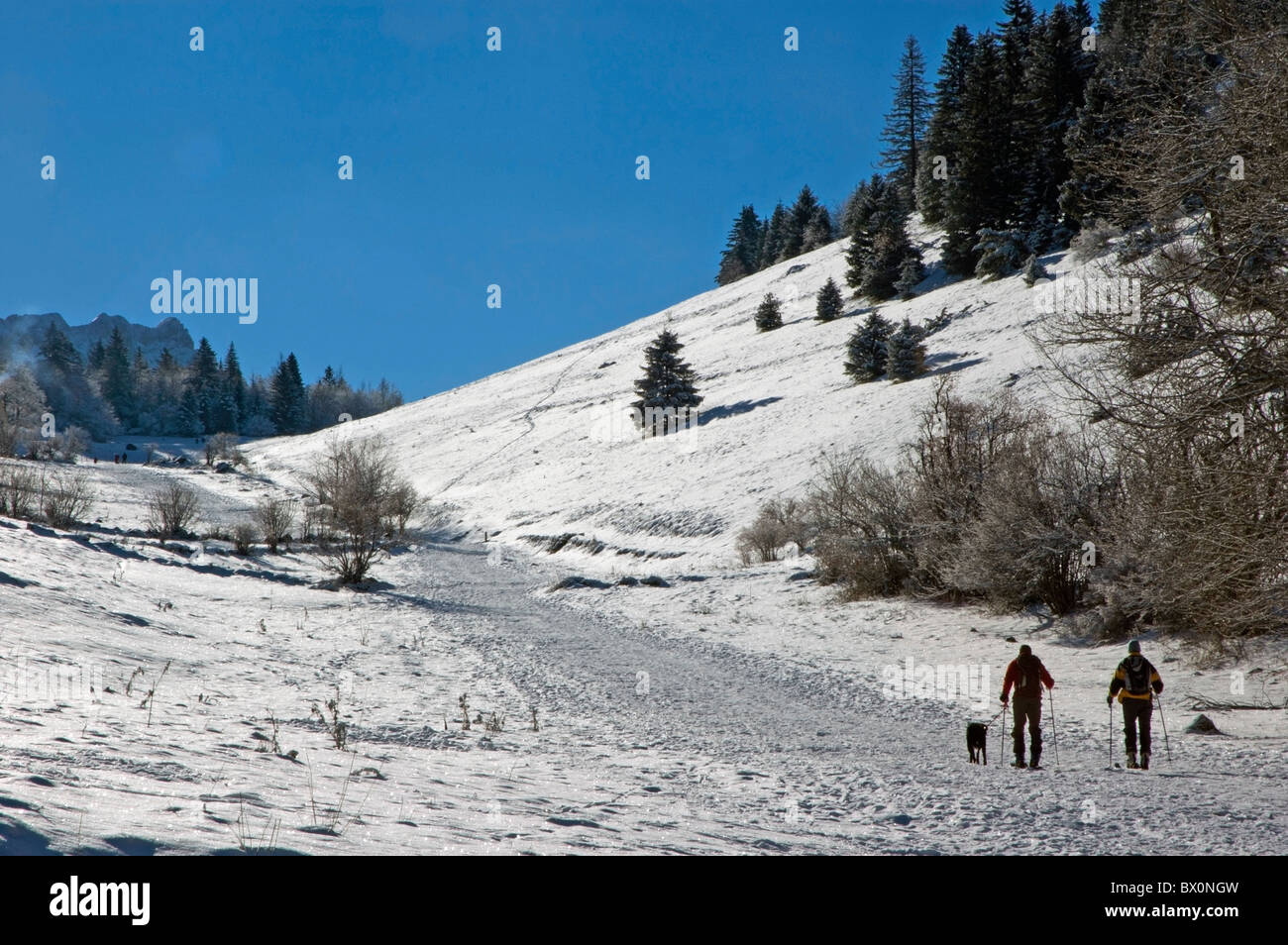 Ehepaar und ihr Hund Langlaufen in Lans-En-Vercors, Frankreich. Stockfoto