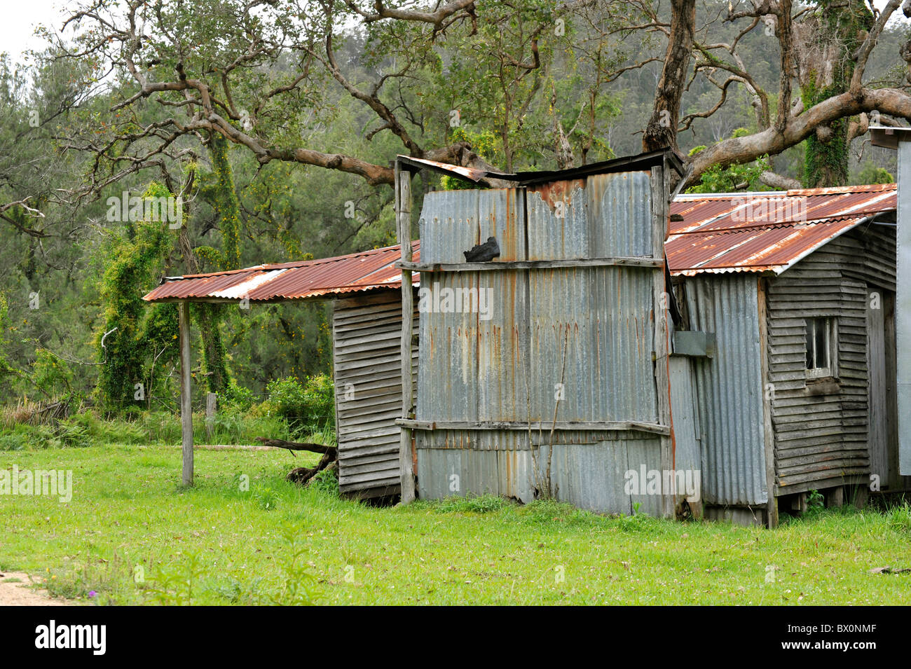 Wellblech-Busch-Hütte in Australien Stockfoto