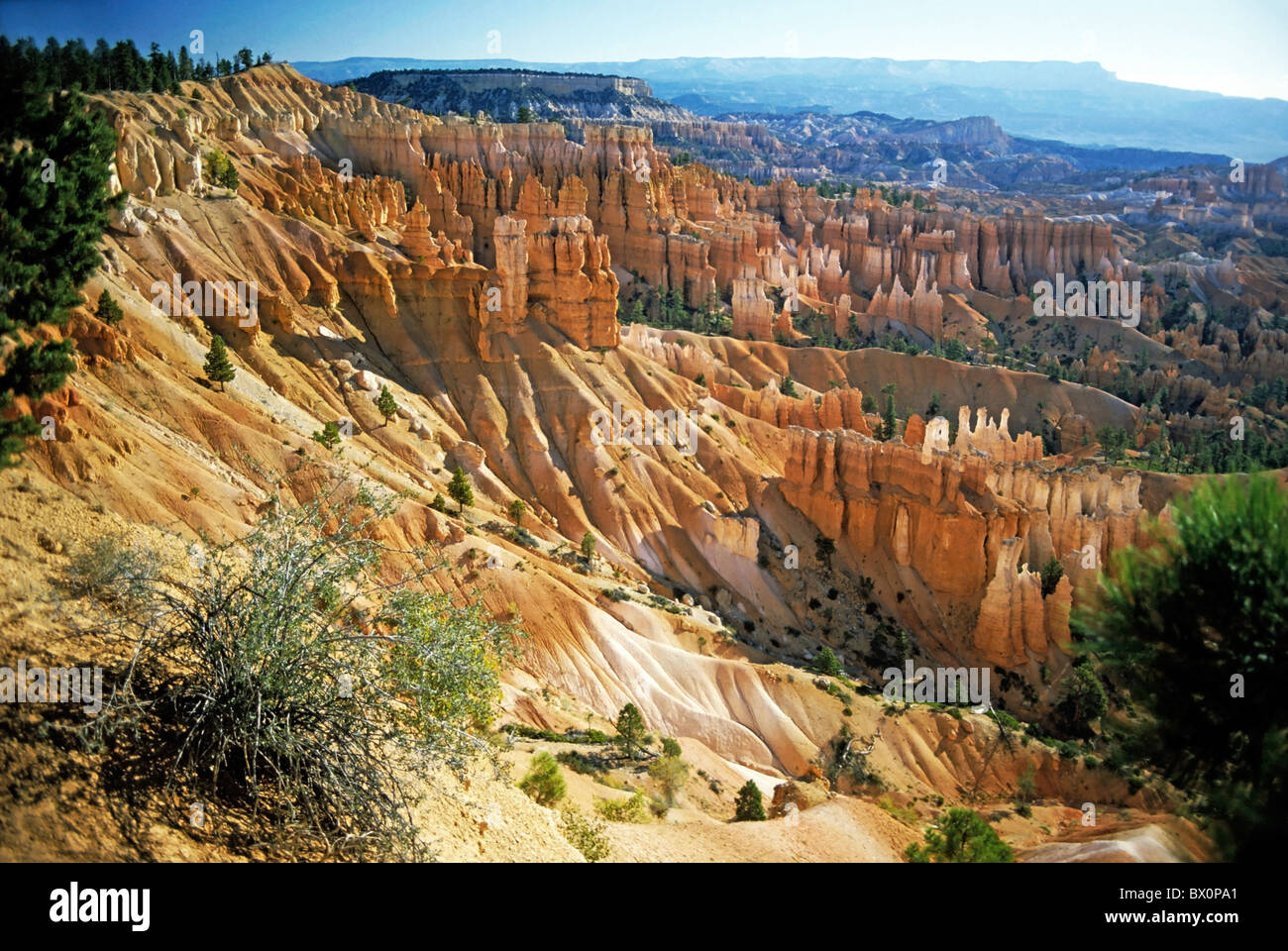 Bryce-Canyon-Nationalpark, Utah, USA. Stockfoto