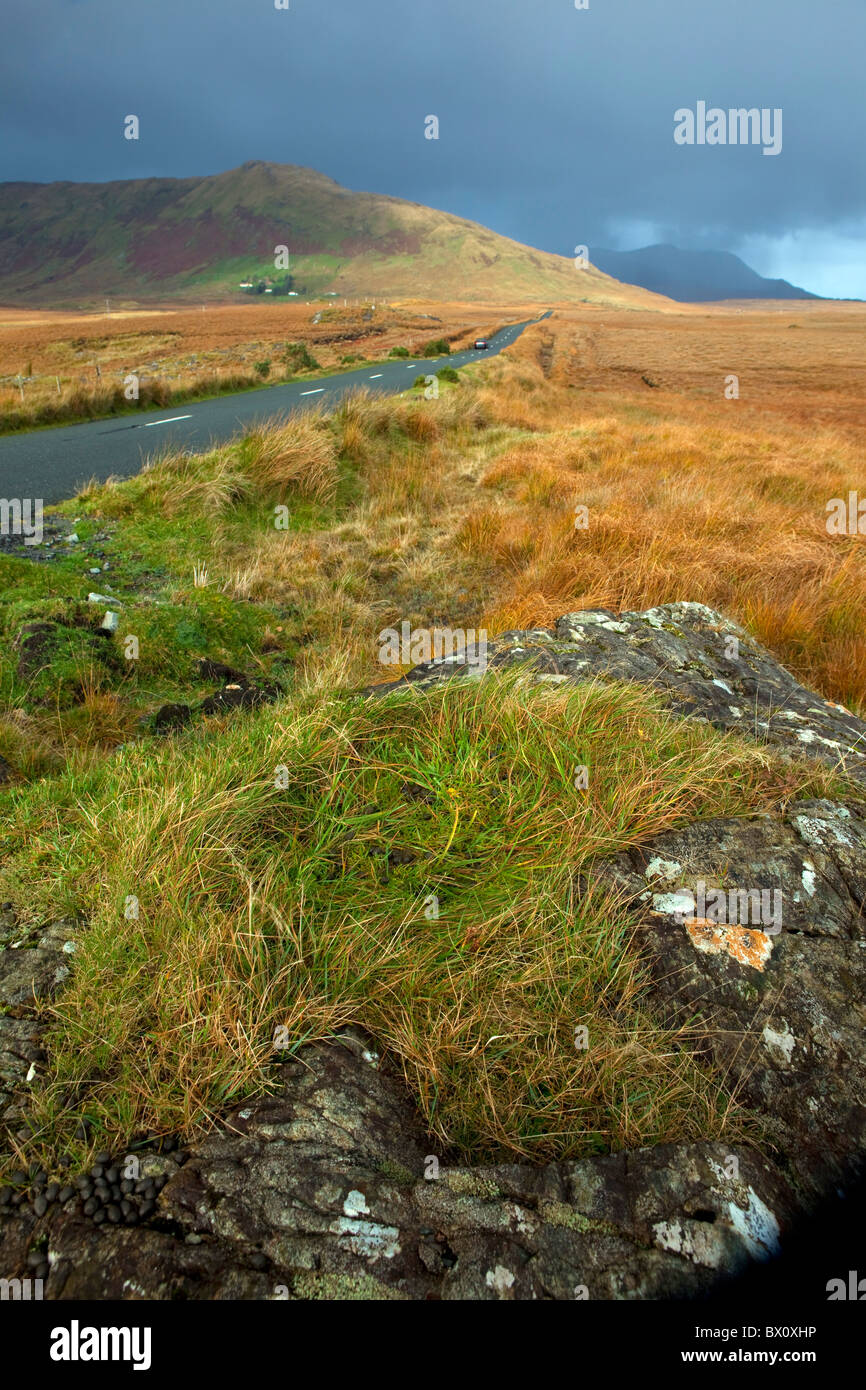 Ein Blick auf die Inagh Valley, Connemara, Galway, Irland Stockfoto