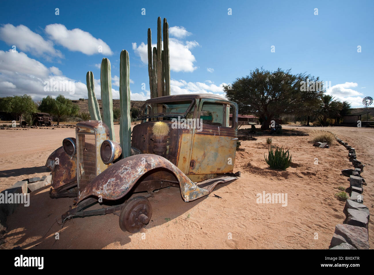 Alte verlassene Auto mit Kaktus wächst durch es, Namibia. Stockfoto