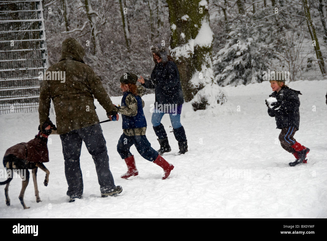 Familie mit Schneeballschlacht im Park Stockfoto