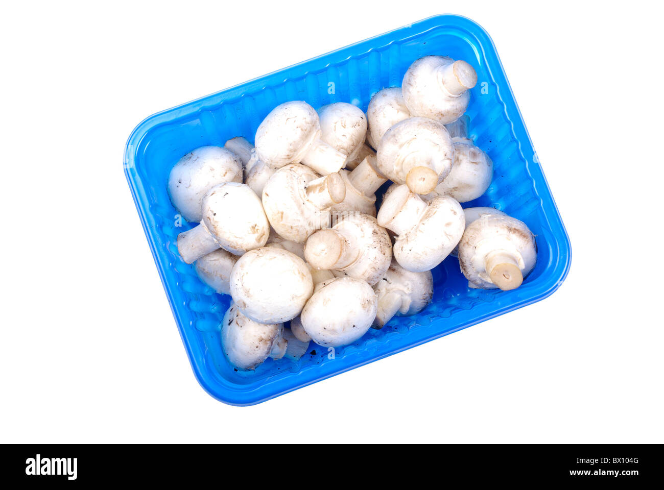 Champignon, Pilze in blau Pack isoliert auf weißem Hintergrund. Stockfoto
