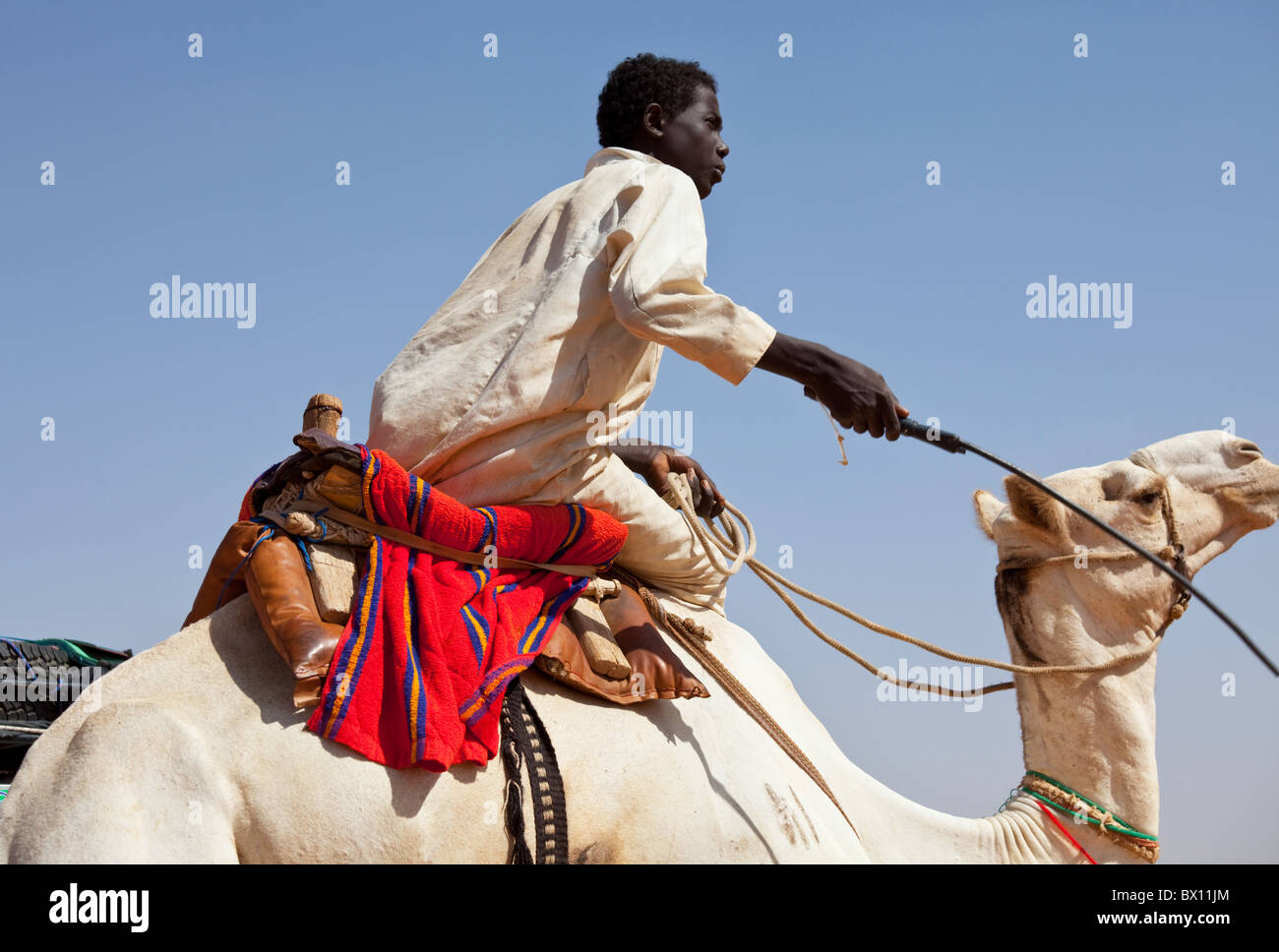 SUDAN - Januar 09: Sudanesische junge Reiten ein Kamel in ländlichen Gegend in der Nähe von nubischen Pyramiden auf 9. Januar 2010. Stockfoto