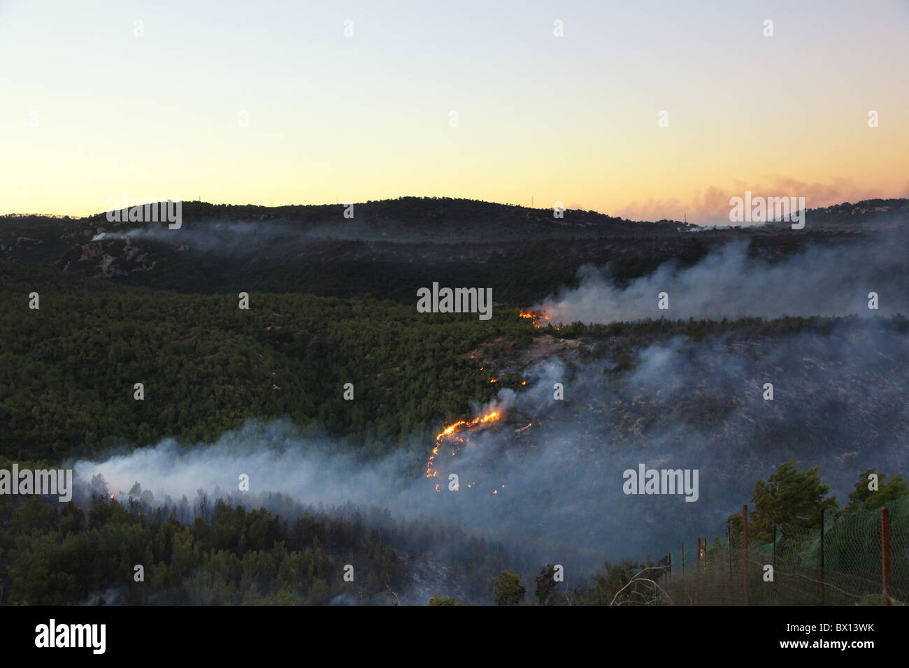 Flammen und Rauch aufstieg von einer massiven Waldbrand auf dem Berg Karmel im Norden Israels. Das Feuer verzehrt viel der mediterranen Wald in der Region und forderte 44 Menschenleben, so dass es die tödlichste in der israelischen Geschichte. Stockfoto