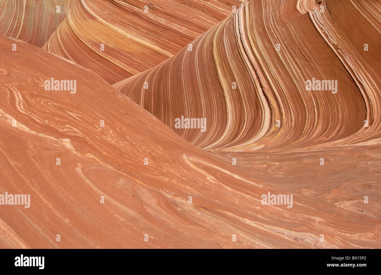 Arizona Klippe Wüste Detail Erosion Navaho Sandstein Northern Coyote Buttes Paria Canyon-Vermillion Cliffs W Stockfoto