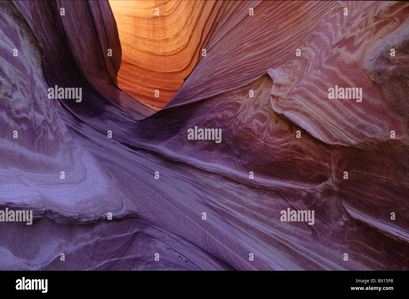 Arizona Canyon Klippe Wüste Erosion Navaho Sandstein Northern Coyote Buttes Paria Canyon-Vermillion Cliffs W Stockfoto