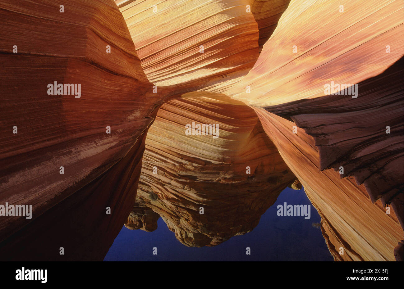 Arizona Klippe Wüste Erosion Navaho Sandstein Northern Coyote Buttes Paria Canyon-Vermillion Cliffs Wildernes Stockfoto