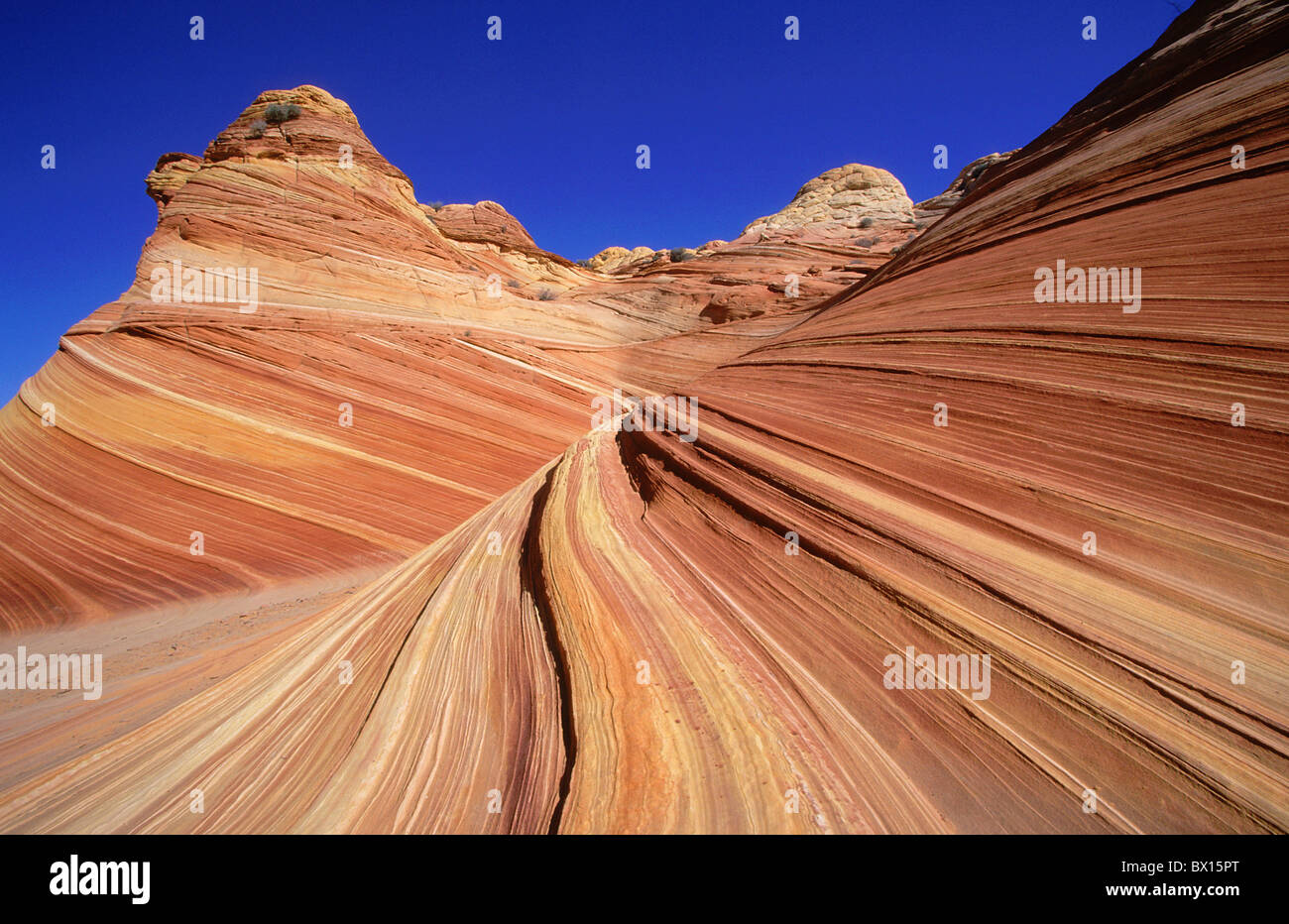 Arizona blauer Himmel Klippe Wüste Erosion Navaho Sandstein Northern Coyote Buttes Paria Canyon-Vermillion Cliffs Stockfoto