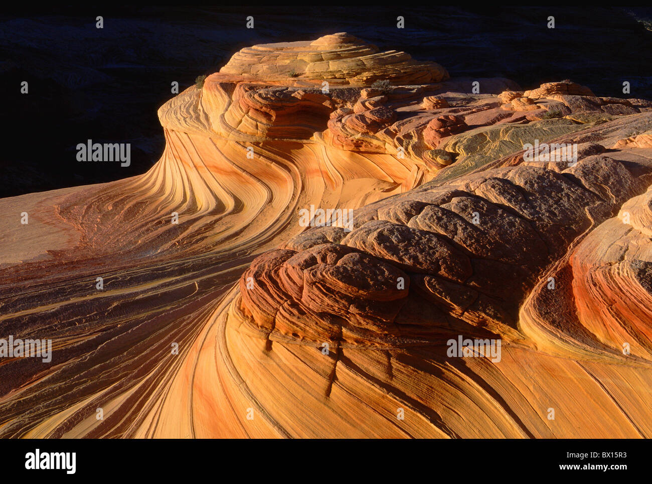 Arizona Klippe Wüste Eddy Erosion Navaho Sandstein Northern Coyote Buttes Paria Canyon-Vermillion Cliffs Wil Stockfoto