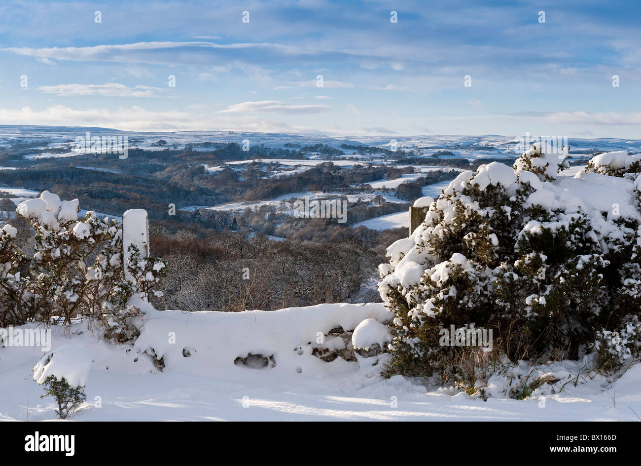 Derwent Valley und North Pennines im Winter Stockfoto