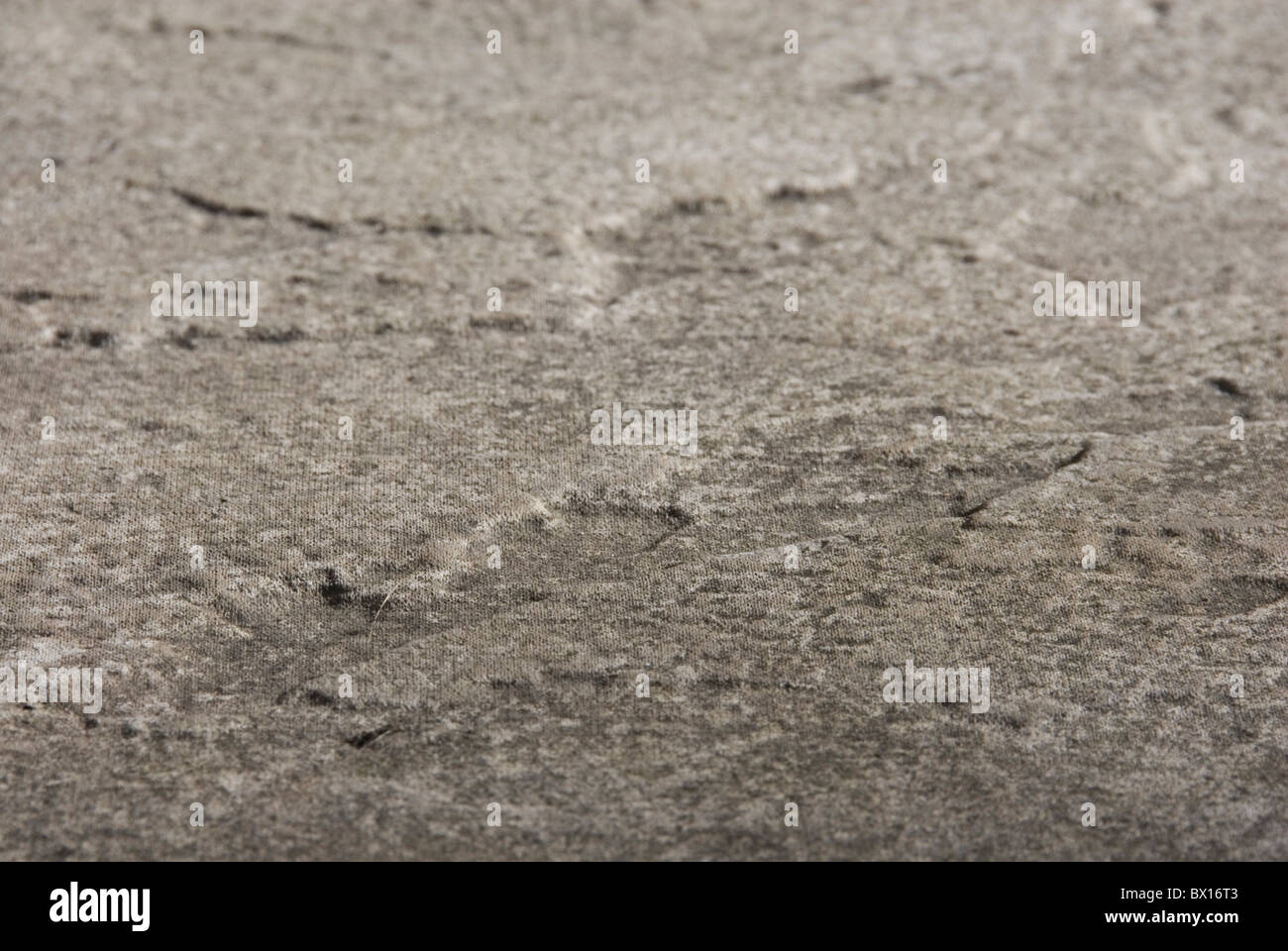 Hautnah auf Bergrücken des konkreten ebnet Platte Patio Fliese, Hintergrund Stockfoto