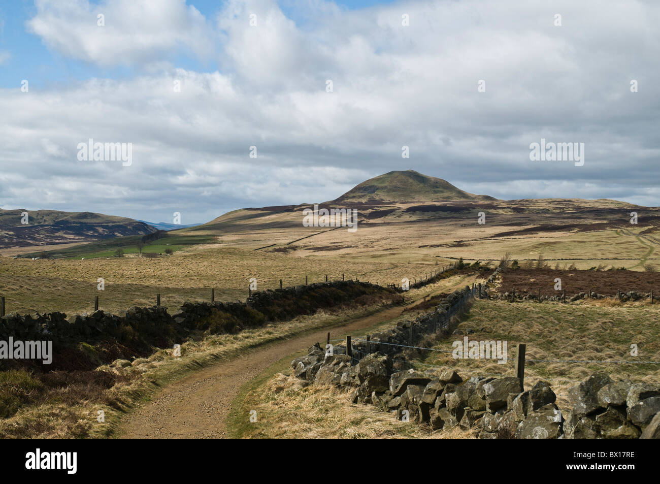 dh West Lomond Hill LOMOND HILLS FIFE Fife Country Countryside Verfolgen sie die schottische Landschaft der schottischen Szene Stockfoto