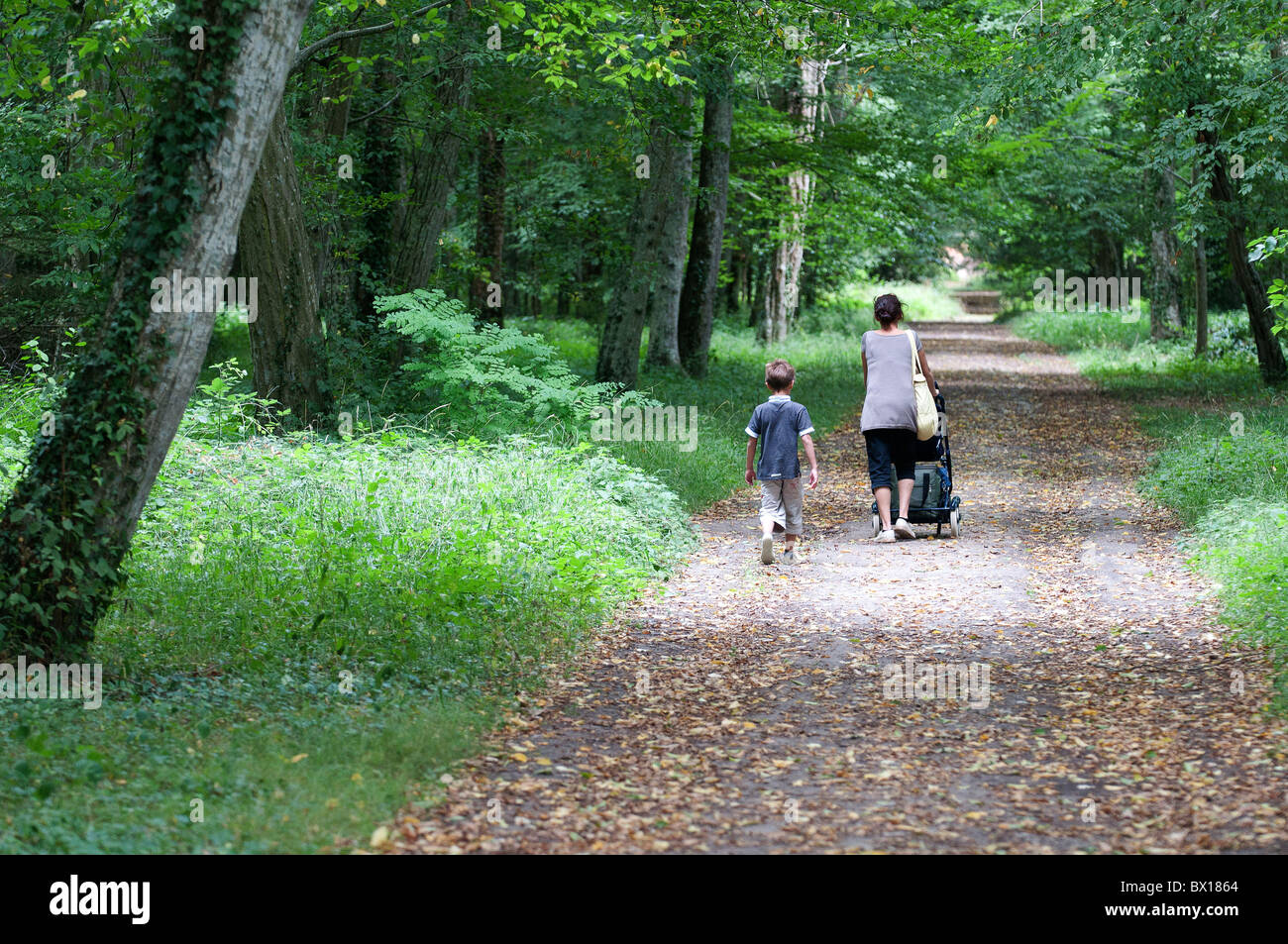 Chenonceaux (37): Spaziergang im Wald Stockfoto