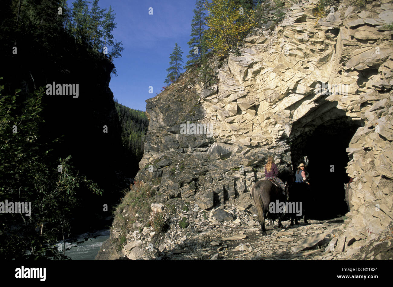 Alaska Pferd Homestead Pilger Familie USA Amerika Vereinigte Staaten Tiere Tunnel Fluss Höhle Kinder n Stockfoto