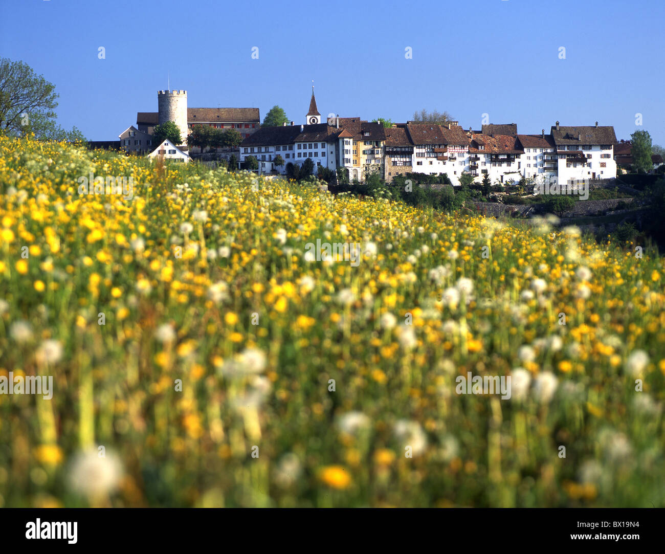 Regensberg Fotos und Bildmaterial in hoher Auflösung Alamy