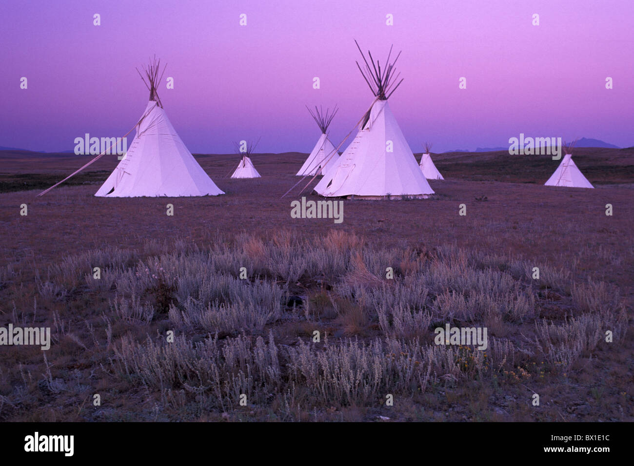 Lodgepole Galerie Blackfeet Tipi Zeltlager Camp Browning Montana USA Amerika Vereinigte Staaten Prärie twiligh Stockfoto